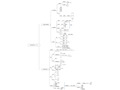 分子生物学(朱玉贤第四版)复习提纲思维导图 4.生物信息的传递RNA-Protein教学文稿