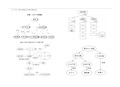 高中生物必修一至三概念图整理 doc