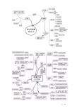 (完整)高中生物20张思维导图
