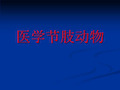 医学节肢动物标本及切片观察-课件(PPT·精·选)