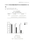 USP13抑制溶瘤病毒诱导的肝癌细胞凋亡机制