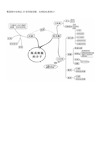 高考高中生物20张思维导图
