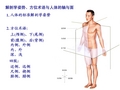 人体基本结构