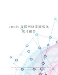 cnnic互联网络发展状况统计报告