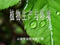 植物必需营养元素