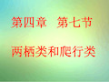 冀教版七年级上册第七节两栖类和爬行类1