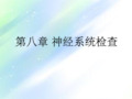 神经系统检查 PPT