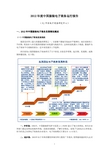 2012年度中国服装电子商务运行报告