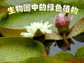 植物种子的萌发PPT课件-种子的萌发课件