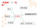 传染病与免疫复习课件