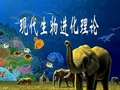 2017现代生物进化理论一轮复习