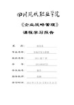 企业战略管理学习报告