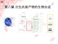 第八章 次生代谢产物的生物合成