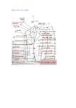 服装各部分中英文对照图教学文案