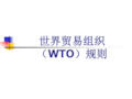 世界贸易组织(WTO)规则