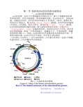 线粒体DNA的结构和功能特征