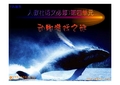 必修3.12 动物游戏之谜