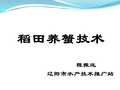 东北稻田养蟹关键技术