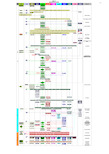 品质管理系统作业流程图