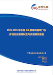 【完整版】2020-2025年中国SLG类移动游戏行业市场定位策略制定与实施研究报告