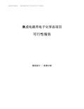 集成电路用电子化学品项目可行性报告