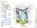 人体解剖生理学-皮肤_PPT幻灯片