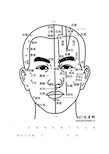 面部穴位图