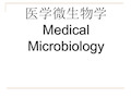 医学微生物概述.ppt