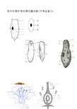 初中生物中考识图专题训练(中考总复习)