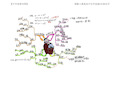 【中学思维导图】图解人教版高中化学选修6实验化学
