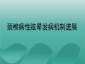 颈源性眩晕发病机理的探讨共27页文档