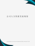 公司人力资源发展规划