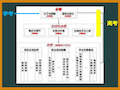 2019人教版新教材 1.1 孟德尔的豌豆杂交实验(一)