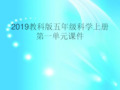 2019教科版五年级科学上册第一单元课件