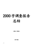 2000字调查报告总结