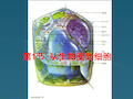 山东省冠县高中生物《11从生物圈到细胞》课件新人教版必修1