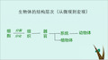 (人教版七上生物) .4 单细胞生物