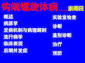 传染病学-钩端螺旋体病PPT教学课件