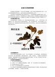 盆栽无花果修剪图解