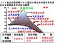 第三课时垂直分异和地方性分异规律