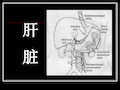 肝胆疾病影像诊断