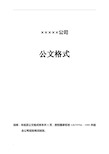 企业红头文件标准格式(公文必备)