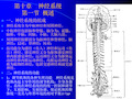 组织学与解剖学神经系统(4)