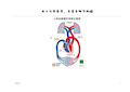 人体血液循环系统示意图(文书特制)