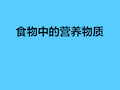 《食物中的营养物质》人体的营养PPT课件