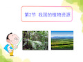 《我国的植物资源》PPT-完美版