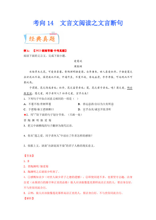 考向14：文言文阅读之文言断句-备战2023年中考语文一轮复习考点微专题(解析版)