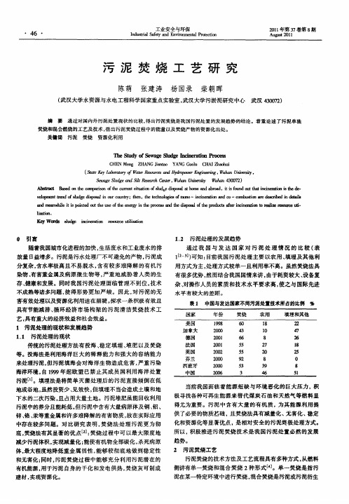 污泥焚烧工艺研究