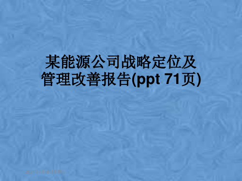 某能源公司战略定位及管理改善报告(ppt 71页)