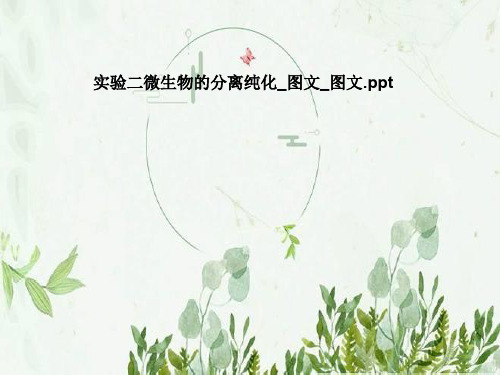 实验二微生物的分离纯化_图文_图文